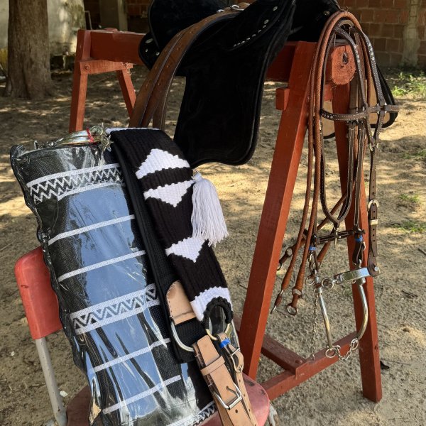 🐎 SELA DE VAQUEJADA COMPLETA POR APENAS R$ 0,05!